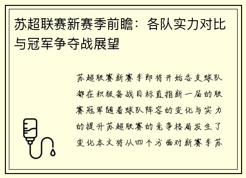 苏超联赛新赛季前瞻：各队实力对比与冠军争夺战展望