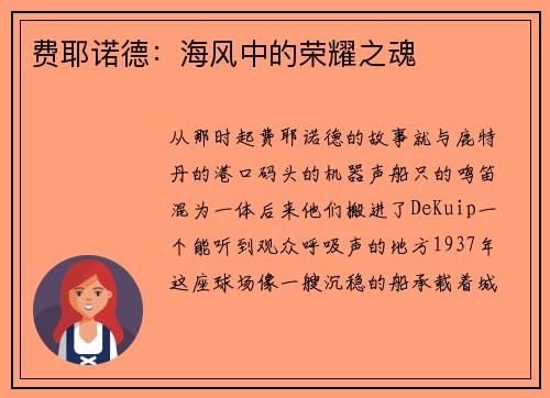 费耶诺德：海风中的荣耀之魂